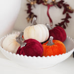 A white scalloped bowl filled with small velvet decorative pumpkins in cream, deep burgundy, and orange, with metallic silver stems, set against a softly blurred home decor background.