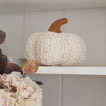 A chunky knit decorative pumpkin in cream with a brown stem, displayed on a white shelf next to dried leaves and pale flowers.