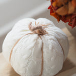 A decorative white knit pumpkin with a textured cable-knit pattern, wrapped with a natural jute stem and tied with a thin tan string, shown on a wooden surface with dried orange leaves in the background.
