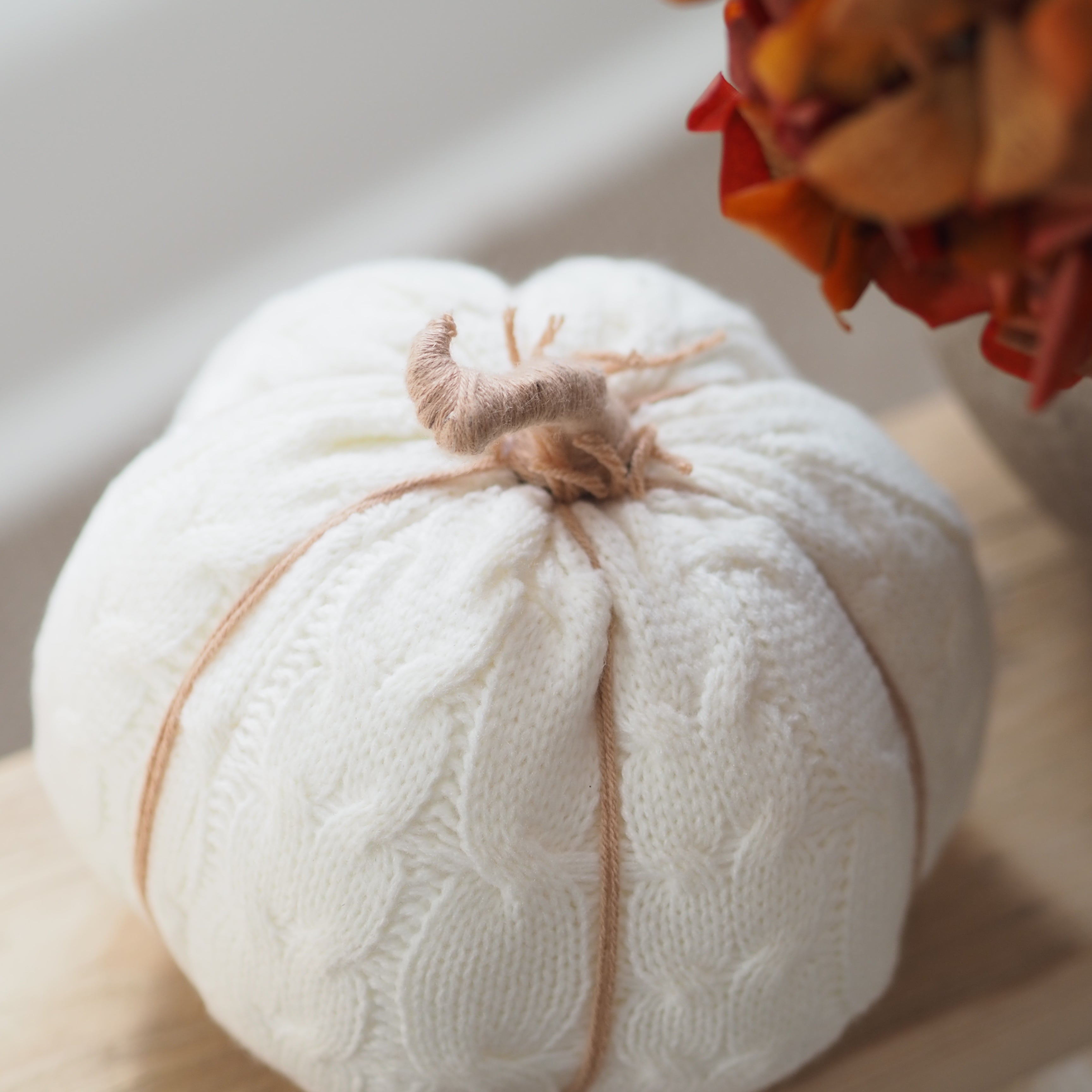 A decorative white knit pumpkin with a textured cable-knit pattern, wrapped with a natural jute stem and tied with a thin tan string, shown on a wooden surface with dried orange leaves in the background.