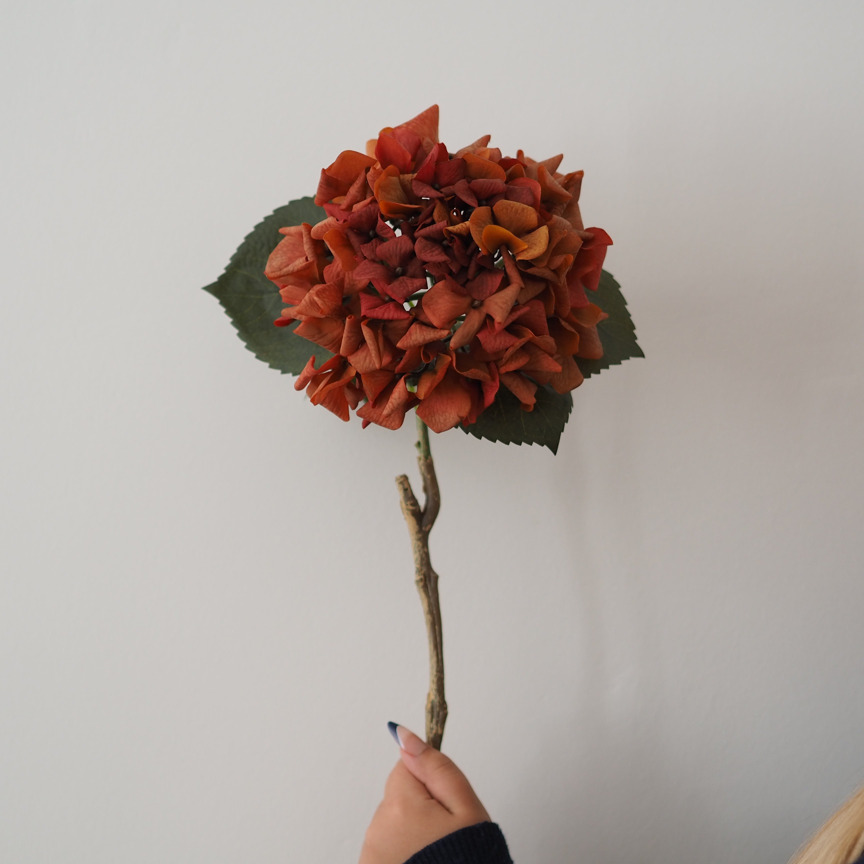 An artificial hydrangea stem with rust-orange petals, green leaves, and a brown branch, held by a hand against a plain light gray wall.