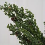 artificial green Norfolk pine branches with small brown pinecones, photographed against a plain light gray background.