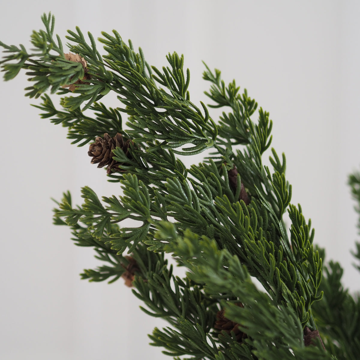 artificial green Norfolk pine branches with small brown pinecones, photographed against a plain light gray background.
