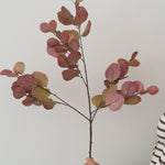 Faux blush and green silver dollar hydrangea stem