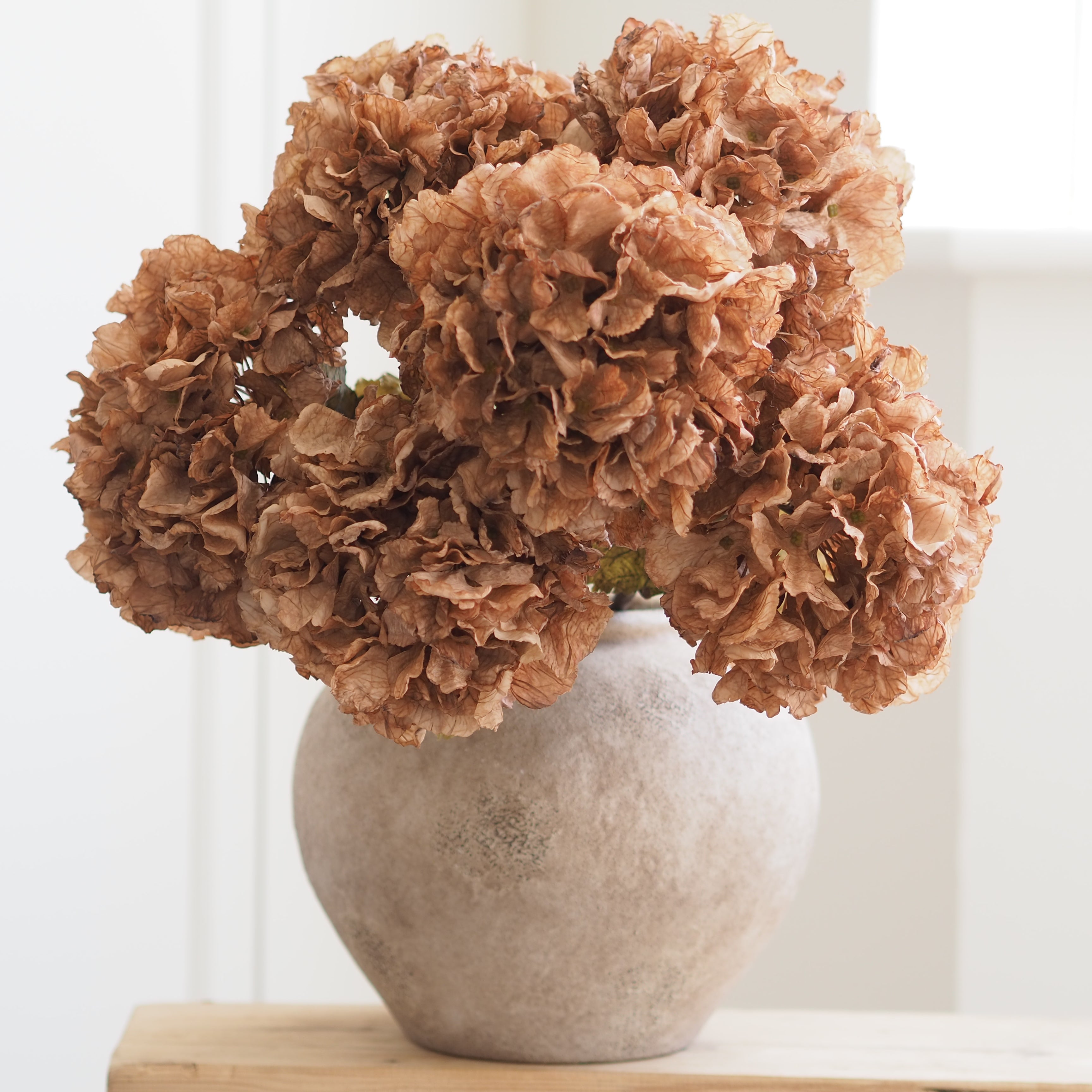 Latte Hydrangea Stem