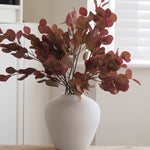 Blush eucalyptus stem