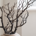 A decorative arrangement of dark brown bare tree branches in a light beige ceramic pot, photographed indoors against a soft beige wall.