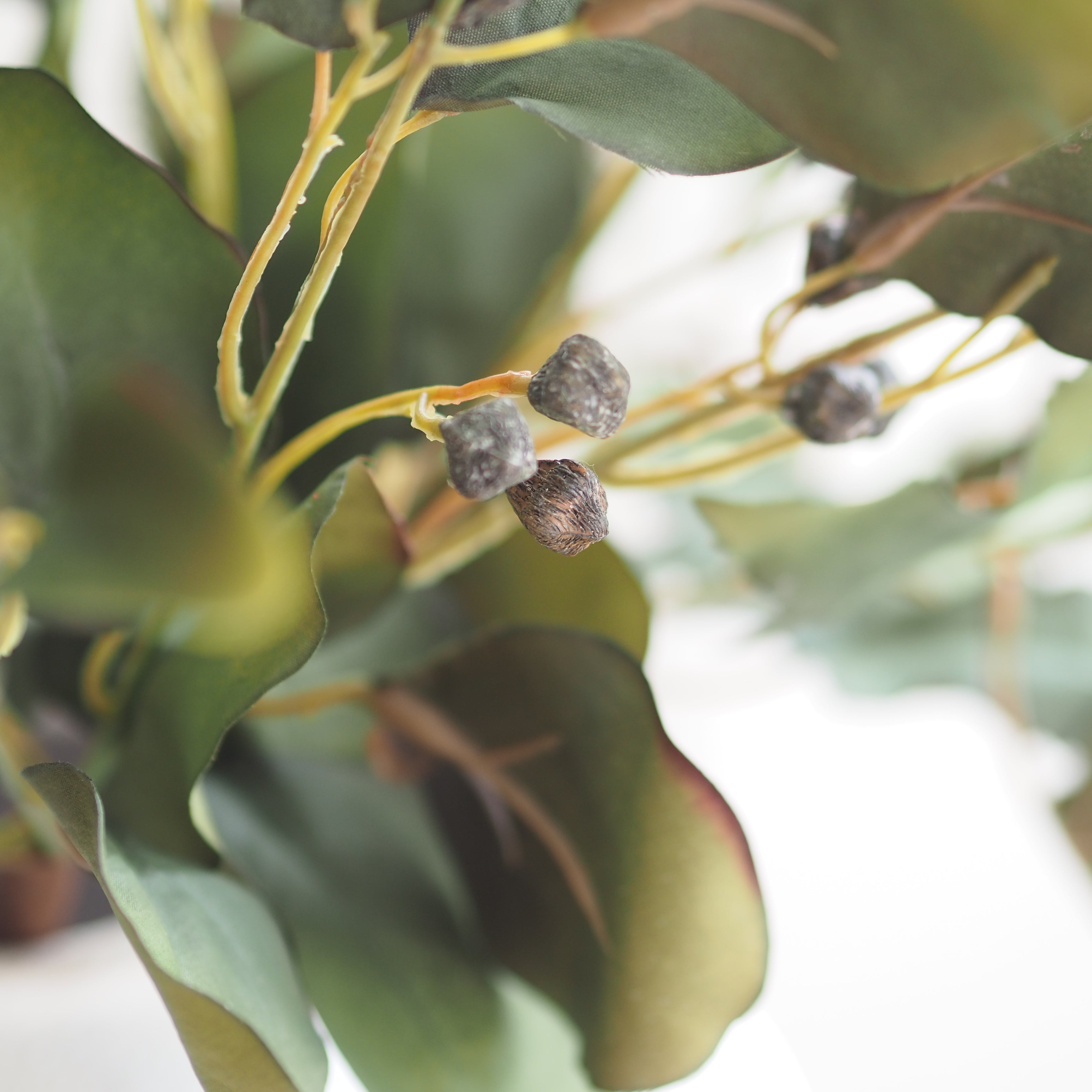Close-up of artificial eucalyptus foliage with green leaves, yellow stems, and small brown berry-like accents on a softly blurred white background.